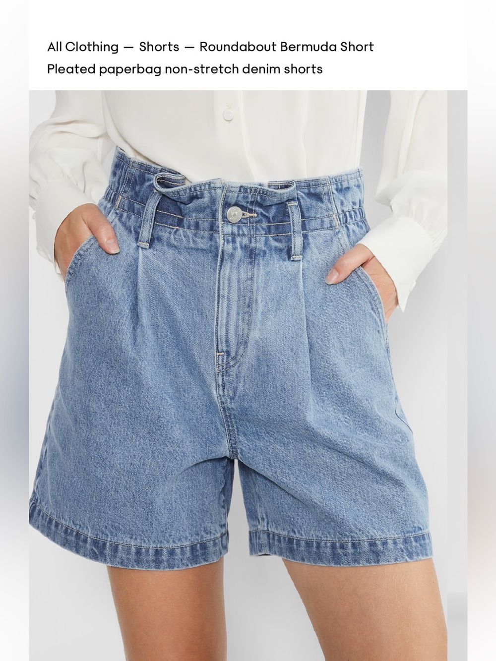 Aritzia Denim Shorts